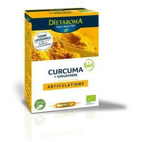 Dietaroma Curcuma +Gingembre 20Amp*10ml